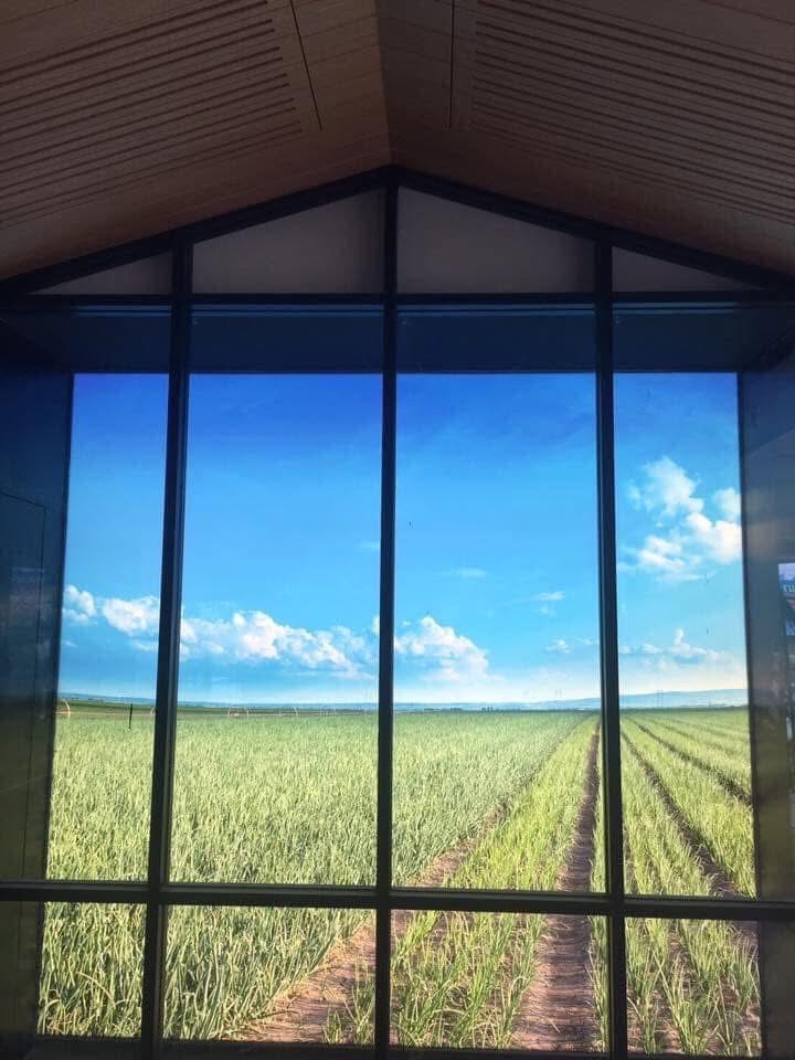 ผลงานฝ้า 4