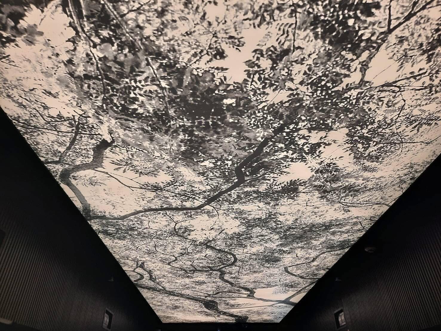 ผลงานฝ้า 5